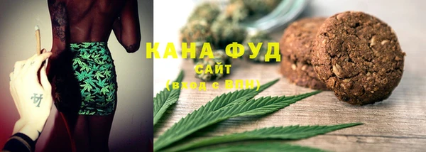гидра Абаза