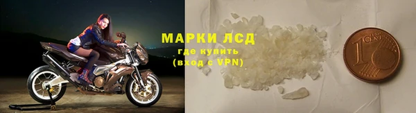гидра Абаза