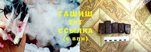 гидра Абаза