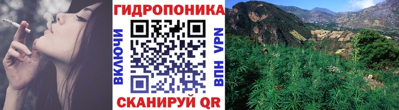 Бошки Шишки планчик  Александровск 